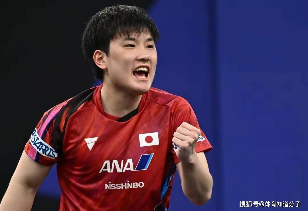 瑞典队完胜奥地利队,张本智和刷新纪录的简单介绍 瑞典队完胜奥地利队,张本智和刷新纪录的简单介绍