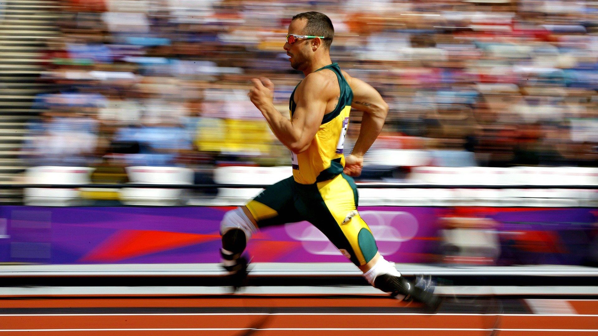 英格兰队碾压韩国队，张本智和统治全场，一场技术与意志的双重胜利